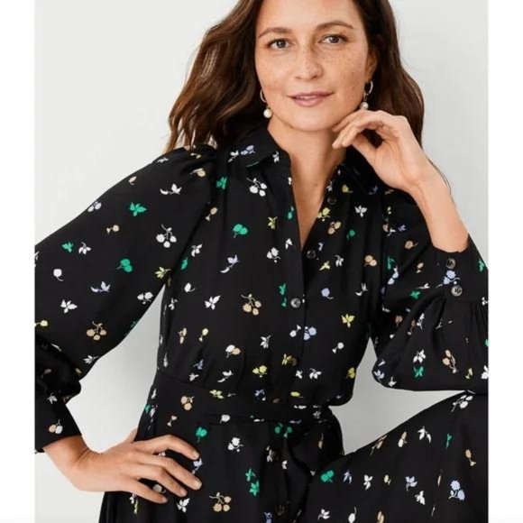 Ann Taylor Floral Belted Shirtdress New - Picture 3 of 4